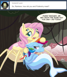 Size: 800x925 | Tagged: safe, artist:couchcrusader, imported from derpibooru, fluttershy, rainbow dash, drider, monster pony, original species, siren, spiderpony, comic:children of everfree, alternate universe, animated, everfree forest, sirendash, species swap, spidershy, tumblr