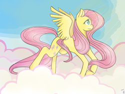 Size: 3264x2448 | Tagged: safe, artist:golebica, imported from derpibooru, fluttershy, cloud, cloudy, female, high res, solo
