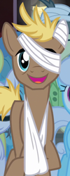 Size: 424x1064 | Tagged: safe, imported from derpibooru, screencap, dizzy twister, linky, orange swirl, shoeshine, theodore donald "donny" kerabatsos, leap of faith, background pony, bandage, dirtbound