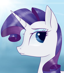 Size: 1024x1165 | Tagged: safe, artist:justbrohoof, imported from derpibooru, rarity, female, portrait, solo