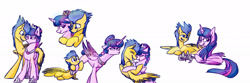 Size: 3000x1000 | Tagged: safe, artist:php14, deleted from derpibooru, imported from derpibooru, flash sentry, twilight sparkle, alicorn, pegasus, pony, alternate hairstyle, couple, female, flashlight, male, mare, shipping, straight, twilight sparkle (alicorn)