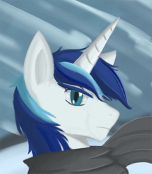 Size: 800x918 | Tagged: safe, artist:archeopony, imported from derpibooru, shining armor, pony, unicorn, bust, clothes, male, portrait, scarf, snow, solo