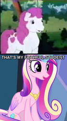 Size: 477x851 | Tagged: safe, imported from derpibooru, screencap, princess cadance, sweetheart, my little pony tales, g1, g4, headcanon, image macro, meme, that's my x