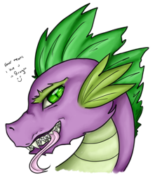 Size: 800x903 | Tagged: safe, artist:bumblebeesandroses, imported from derpibooru, spike, male, portrait, simple background, solo, tongue out, transparent background