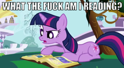 Size: 602x331 | Tagged: safe, edit, edited screencap, imported from derpibooru, screencap, twilight sparkle, friendship is magic, female, image macro, meme, prone, reaction image, solo, vulgar, what the fuck am i reading