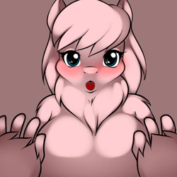 Size: 1280x1280 | Tagged: safe, artist:kloudmutt, imported from derpibooru, oc, oc only, oc:fluffle puff, anthro, blushing, breasts, busty fluffle puff, explicit source, female, looking at you, solo, tongue out