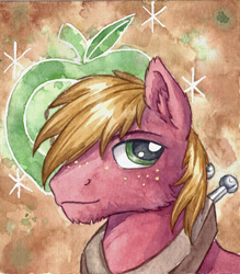 Size: 1024x1171 | Tagged: safe, artist:the-wizard-of-art, imported from derpibooru, big macintosh, earth pony, pony, male, solo, stallion, traditional art, watercolor painting