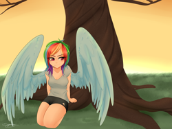 Size: 1600x1200 | Tagged: safe, artist:sugarberry, imported from derpibooru, rainbow dash, human, female, humanized, solo, winged humanization