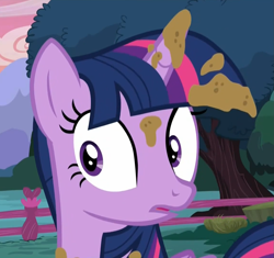 Size: 1143x1075 | Tagged: safe, imported from derpibooru, screencap, twilight sparkle, alicorn, castle sweet castle, female, fence, reaction image, solo, tree, twilight sparkle (alicorn)