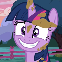 Size: 1045x1056 | Tagged: safe, imported from derpibooru, screencap, twilight sparkle, alicorn, castle sweet castle, female, fence, reaction image, smiling, solo, twilight sparkle (alicorn)