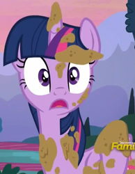 Size: 747x965 | Tagged: safe, imported from derpibooru, screencap, twilight sparkle, alicorn, pony, castle sweet castle, season 5, female, mare, reaction image, solo, twilight sparkle (alicorn)