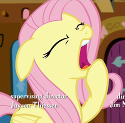 Size: 1087x1072 | Tagged: safe, imported from derpibooru, screencap, fluttershy, castle sweet castle, female, reaction image, solo