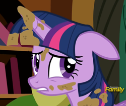 Size: 1157x975 | Tagged: safe, imported from derpibooru, screencap, twilight sparkle, alicorn, castle sweet castle, bookshelf, female, reaction image, solo, twilight sparkle (alicorn)