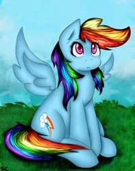 Size: 794x1006 | Tagged: safe, artist:scarletcurl, imported from derpibooru, rainbow dash, female, solo