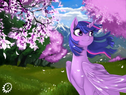 Size: 4096x3072 | Tagged: safe, artist:blackrunewarlock, imported from derpibooru, twilight sparkle, alicorn, pony, cherry blossoms, female, mare, scenery, solo, twilight sparkle (alicorn)