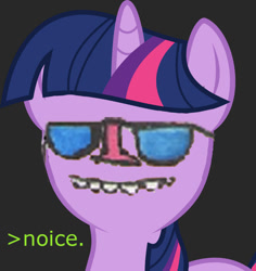 Size: 882x935 | Tagged: safe, artist:seenty, imported from derpibooru, twilight sparkle, noice, reaction image