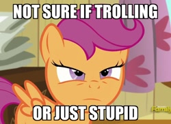 Size: 1104x805 | Tagged: safe, edit, edited screencap, imported from derpibooru, screencap, scootaloo, pegasus, pony, bloom and gloom, cropped, female, filly, foal, image macro, meme, narrowed eyes, not sure if, reaction image, solo