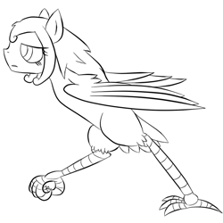 Size: 800x800 | Tagged: safe, artist:happydeadpony, artist:teb, imported from derpibooru, oc, oc only, oc:cloepty, bird, harpy, original species, creature, harpony, monochrome, solo, wings