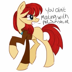 Size: 640x640 | Tagged: safe, artist:tenrose, imported from derpibooru, clothes, doctor who, donna noble, feminism, ponified