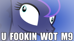 Size: 1120x629 | Tagged: safe, artist:beavernator, imported from derpibooru, princess luna, pony, image macro, meme, reaction image, semi-vulgar, u wot m8