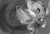 Size: 1400x941 | Tagged: safe, artist:darkflame75, imported from derpibooru, princess luna, lunadoodle, both cutie marks, female, solo