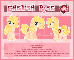 Size: 3842x3140 | Tagged: safe, artist:xwhitedreamsx, imported from derpibooru, oc, oc only, oc:english rose, ponysona, reference sheet