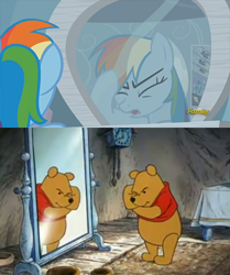 Size: 500x599 | Tagged: safe, edit, imported from derpibooru, screencap, rainbow dash, bear, pegasus, pony, tanks for the memories, discovery family, discovery family logo, female, logo, male, mare, meme, mirror, pooh, winnie the pooh