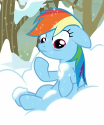 Size: 613x741 | Tagged: safe, imported from derpibooru, screencap, rainbow dash, tanks for the memories, female, solo