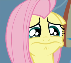 Size: 974x865 | Tagged: safe, imported from derpibooru, screencap, fluttershy, tanks for the memories, crying, female, solo, teary eyes