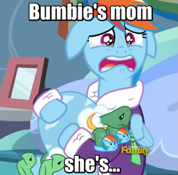 Size: 609x600 | Tagged: safe, imported from derpibooru, screencap, rainbow dash, tank, pegasus, pony, tortoise, season 5, tanks for the memories, animaniacs, bathrobe, bumbie's mom, clothes, crying, dashie slippers, depression dash, image macro, meme, robe, sad, slippers, tank slippers