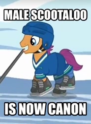 Size: 281x380 | Tagged: safe, imported from derpibooru, screencap, forecheck, scootaloo, tanks for the memories, image macro, meme, scootadad