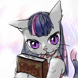Size: 800x800 | Tagged: safe, artist:han_hyui, imported from derpibooru, twilight sparkle, cat, book, female, solo, species swap, twilight cat