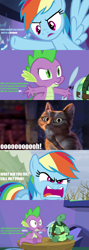 Size: 800x2250 | Tagged: safe, edit, edited screencap, imported from derpibooru, screencap, rainbow dash, spike, tank, cat, tortoise, tanks for the memories, angry, comic, curse cut short, cussing, fight, funny, puss-in-boots