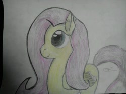 Size: 1280x960 | Tagged: safe, artist:gallifreyanequine, imported from derpibooru, fluttershy, crayon drawing, traditional art