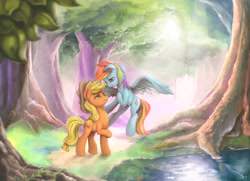 Size: 4000x2894 | Tagged: safe, artist:mrs1989, imported from derpibooru, applejack, rainbow dash, earth pony, pegasus, pony, appledash, complex background, cowboy hat, daytime, digital art, eyelashes, female, flying, foliage, forest, grass, hat, hoof on chest, hoof on neck, lesbian, looking at each other, looking down, looking up, mare, midair, multicolored hair, multicolored mane, outdoors, painting, raised hoof, roots, scenery, scenery porn, shipping, smiling, spread wings, standing, sunlight, tree, water, wings