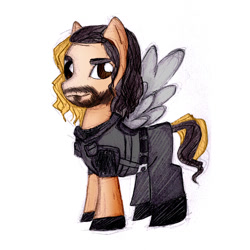 Size: 750x750 | Tagged: safe, artist:milanumber14, imported from derpibooru, pegasus, pony, ponified, seth rollins, wwe