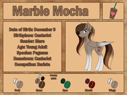 Size: 2400x1800 | Tagged: safe, artist:iraincloud, imported from derpibooru, oc, oc only, oc:marble mocha, pegasus, pony, reference sheet, solo