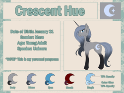 Size: 2400x1800 | Tagged: safe, artist:iraincloud, imported from derpibooru, oc, oc only, oc:crescent hue, pony, unicorn, female, mare, reference sheet, solo