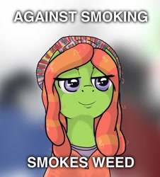 Size: 1248x1383 | Tagged: safe, artist:kill joy, imported from derpibooru, tree hugger, make new friends but keep discord, female, image macro, marijuana, meme, solo, treehuggermeme