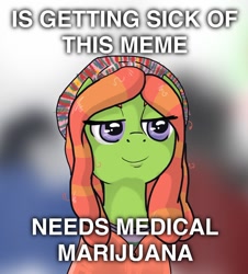 Size: 1248x1383 | Tagged: safe, artist:kill joy, imported from derpibooru, tree hugger, make new friends but keep discord, female, image macro, marijuana, meme, solo, treehuggermeme