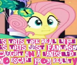 Size: 620x524 | Tagged: safe, artist:fazley01, edit, edited screencap, imported from derpibooru, screencap, fluttershy, make new friends but keep discord, :i, bohemian rhapsody, existential crisis, expand dong, exploitable meme, face, female, meme, musical number in the comments, needs more jpeg, queen (band), rock (music), solo, song in the comments, we bought two cakes