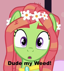 Size: 514x568 | Tagged: safe, edit, edited screencap, imported from derpibooru, screencap, tree hugger, make new friends but keep discord, image macro, meme, weed pony