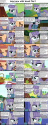 Size: 1282x3304 | Tagged: safe, imported from derpibooru, maud pie, earth pony, pony, comic:celestia's servant interview, caption, comic, cs captions, female, interview, mare, solo