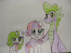 Size: 4000x3000 | Tagged: safe, artist:freakyfredover9000, imported from derpibooru, spike, sweetie belle, dracony, hybrid, female, interspecies offspring, male, offspring, older, parent:spike, parent:sweetie belle, parents:spikebelle, shipping, spikebelle, straight, traditional art