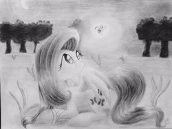 Size: 2592x1936 | Tagged: safe, artist:lortstreet54, imported from derpibooru, fluttershy, firefly (insect), female, grayscale, looking at something, looking up, lying down, monochrome, pencil drawing, solo, traditional art