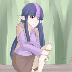 Size: 1280x1280 | Tagged: safe, artist:jonfawkes, imported from derpibooru, twilight sparkle, human, cloak, clothes, elf ears, humanized, log, looking at you, skirt, smiling