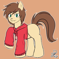 Size: 894x894 | Tagged: safe, artist:liny-an, imported from derpibooru, oc, oc only, blank flank, clothes, hoodie, solo