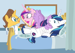 Size: 1080x760 | Tagged: safe, artist:dm29, imported from derpibooru, doctor horse, doctor stable, princess cadance, shining armor, twilight sparkle, alicorn, pony, unicorn, bandage, bed, female, hospital, hospital bed, hug, mare, twilight sparkle (alicorn)