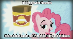 Size: 499x268 | Tagged: safe, imported from derpibooru, screencap, pinkie pie, the lost treasure of griffonstone, baking powder, bioshock, raised eyebrow