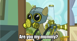 Size: 500x268 | Tagged: safe, edit, edited screencap, imported from derpibooru, screencap, max raid, earth pony, pony, bloom and gloom, cropped, doctor who, male, pest pony, solo